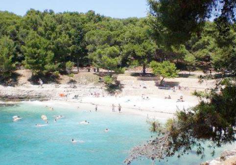 Lola App In Center, 4+1 Pax * Pula